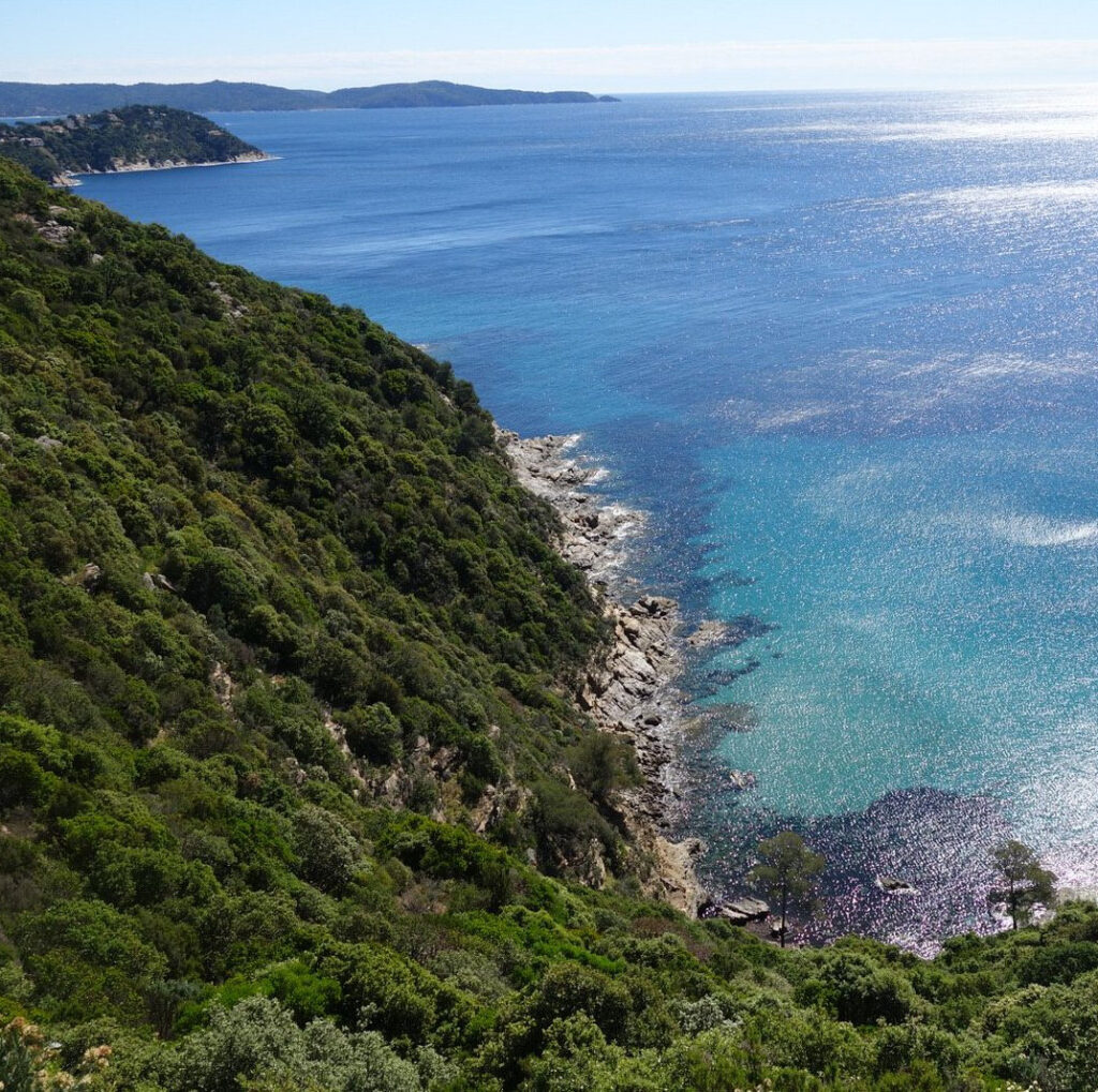 point de vue surplombant la mer depuis le sentier du Fenouillet